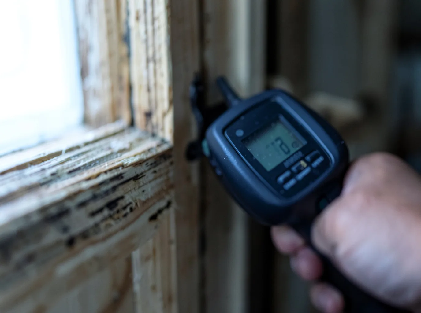 Ceiling Water Damage Repair in Deer Park, TX